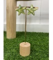 Estrella Nacar Verde. Bisuteria.  | Bambalinas Closet
