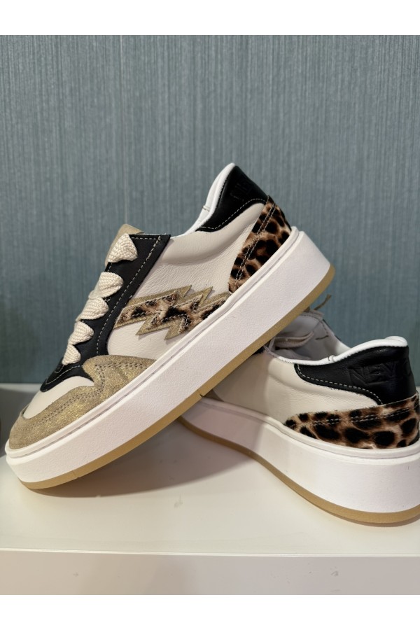 Deportiva Willy. Deportivas. Tallas: 35, 36, 37, 38, 39, 40 | Bambalinas Closet