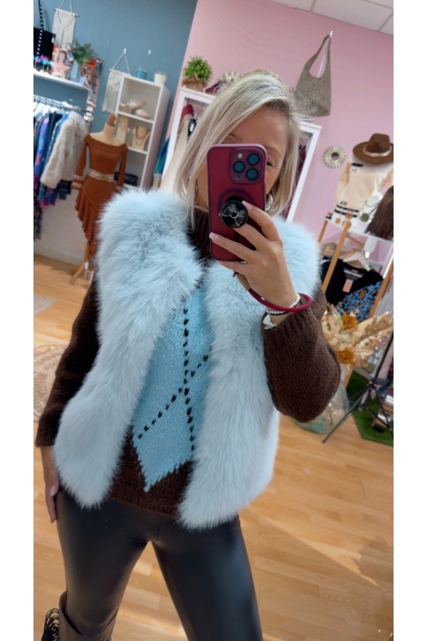 Chaleco Berlin. Camisas / Tops/Chalecos. Color: caldera, marron chocolate, verde