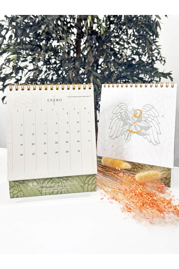 Calendario Camaleonica 2026. Accesorios Camaleónica.  | Bambalinas Closet