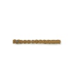 Cinturon Moneda. NOVEDADES BSB.  | Bambalinas Closet