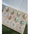 Anillo Pez. Bisuteria. Color: rosa, verde mint, verde manzana, marfil |